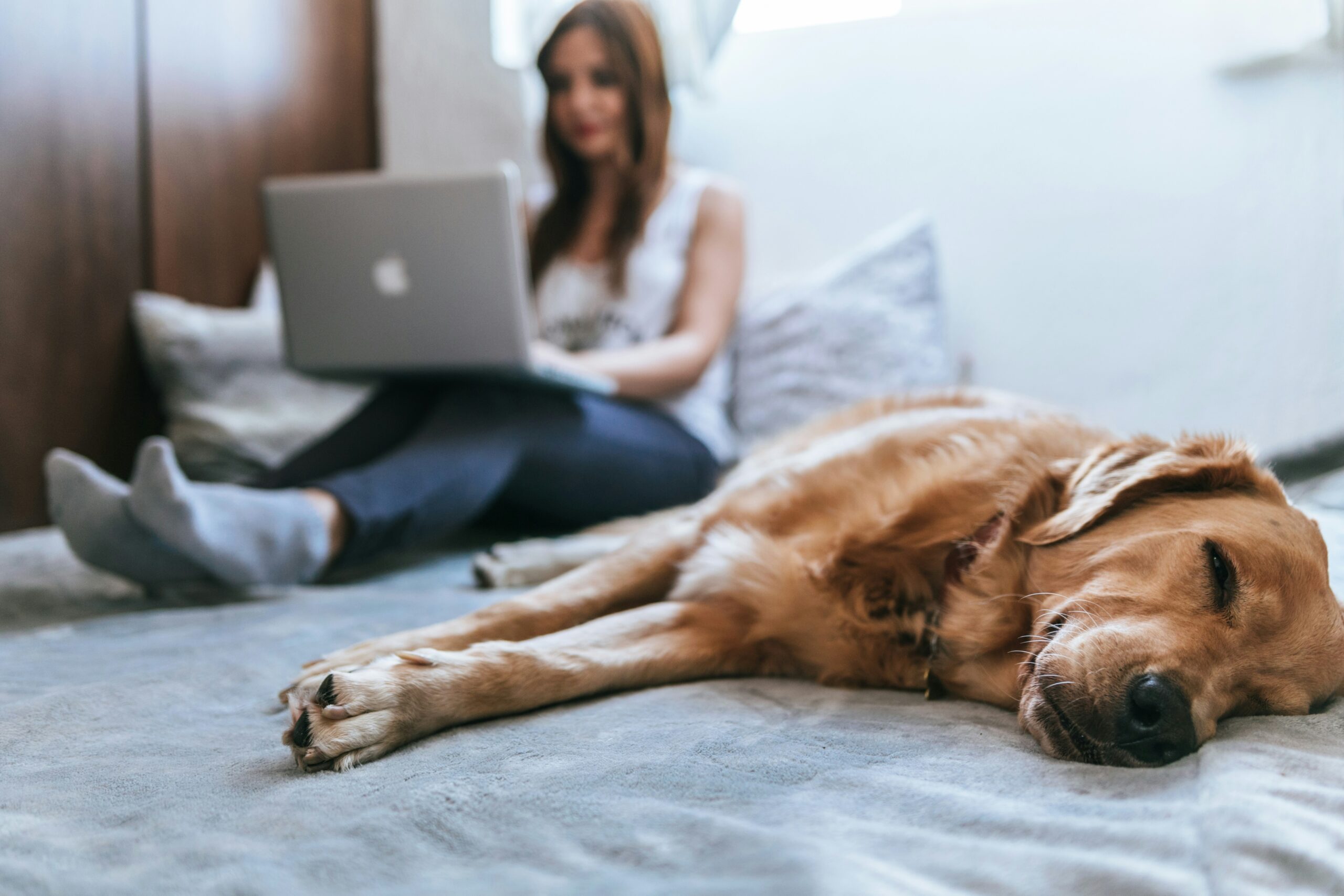 A woman researches information about Home Helpers Properties 