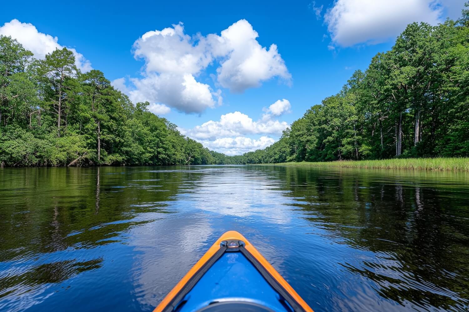 Kayaking on the Pearl Rive in Louisiana