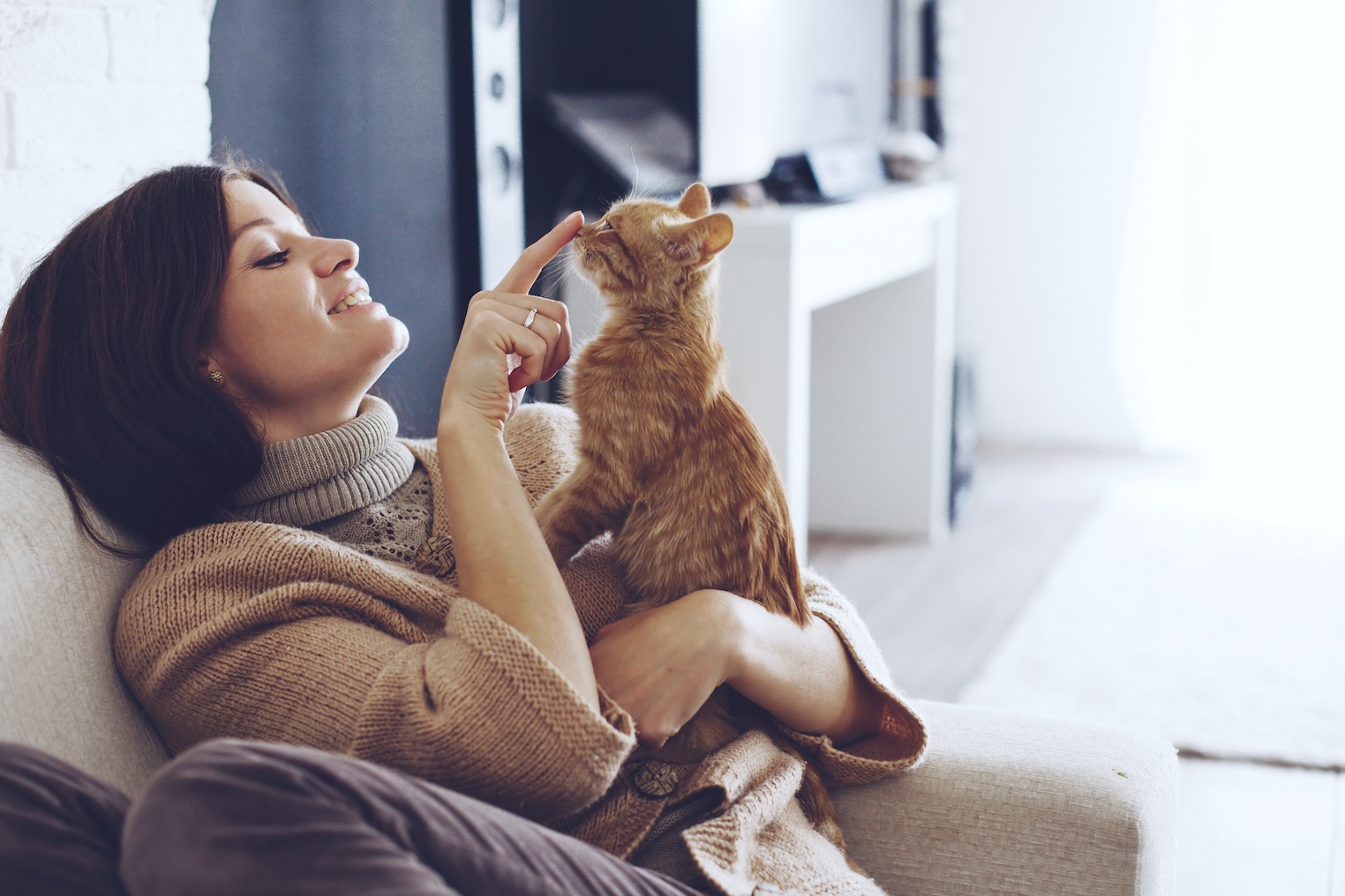 Young woman wearing warm sweater is resting with a cat on the armchair at home one autumn day