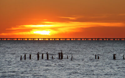 Is Mandeville, LA, a Good Place to Live?