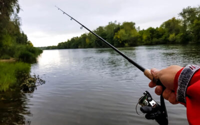 6 Things To Do in Madisonville, LA